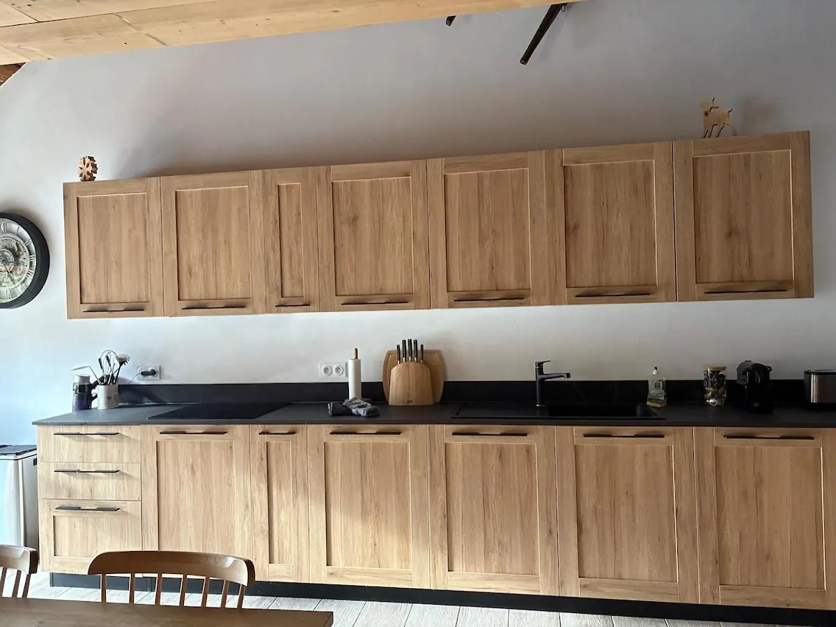 Samoëns Chaleureux Duplex - Ski & Rando 0*,  צרפת